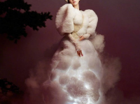 牡丹造型写真,写真中的国色天香