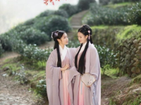 古装小姐姐桐梓,古装风华，穿越时空的美丽传奇